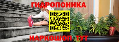 трава Ярославль