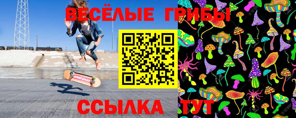 купить наркоту  Псилоцибиновые грибы Psilocybe  Вход с VPN  Советский 